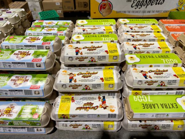 Décrypter les étiquettes alimentaires pour une alimentation minceur